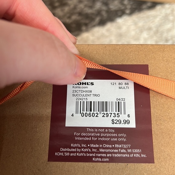 Kohl’s Celebrate Fall and Americana faux succulents, NIB! - Picture 5 of 6